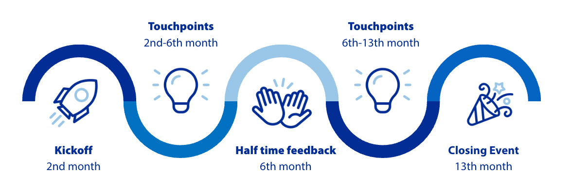 Schedule of the mentoring programme